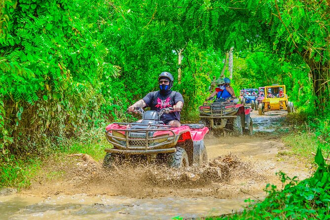 Buggy Ride Into the jungle with cave coffee & chocolate tasting - Who should book this, and who should skip it