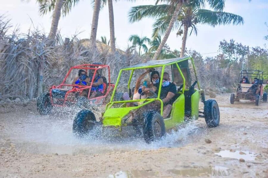 Buggy ride on rural routes and Macao Beach - Price and value: $70 makes sense if you want the full mix