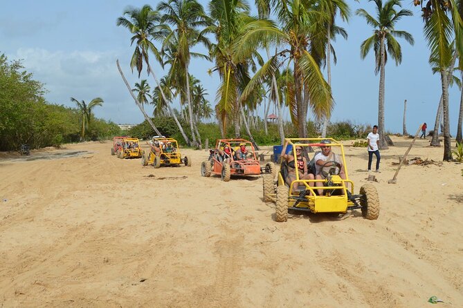 Buggy Tour Punta Cana Extreme Adventure - Who Should Choose This Tour (and Who Might Want a Different Day)