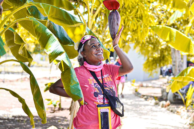 Buggy Tour Punta Cana: MagicalCaves ,Dream Beaches & Culture - Price and value: what $40 buys (and what it doesn’t)