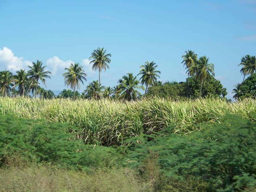 Cabarete: 2-Person Dominican Countryside Buggy Tour - Key Things I’d Prioritize on This Buggy Tour