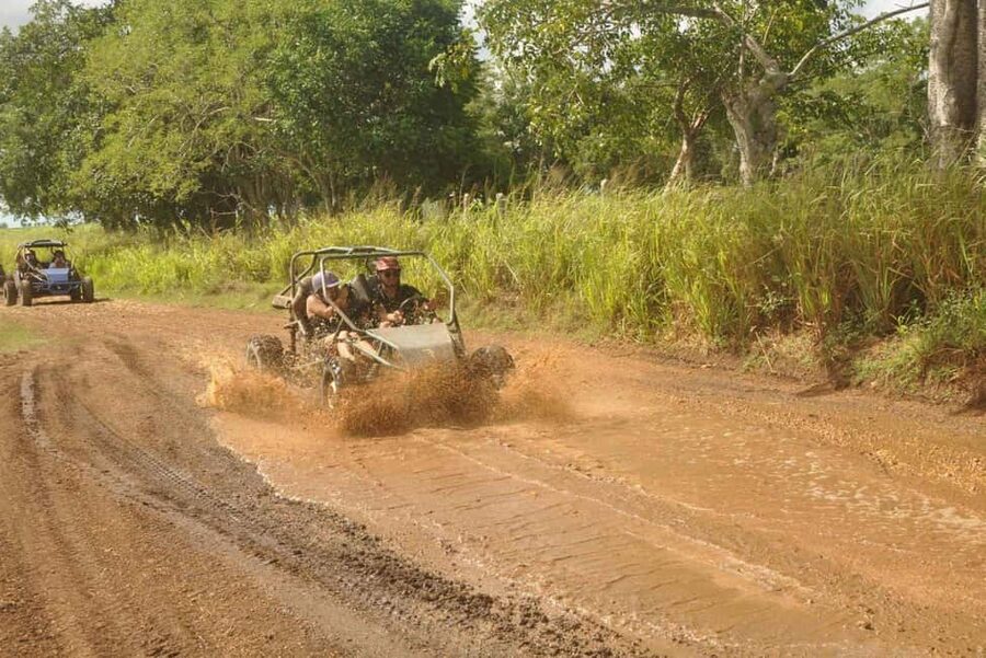 Caribbean Buggy Escape – Bayahibe Jungle & Safari - Key highlights to look for