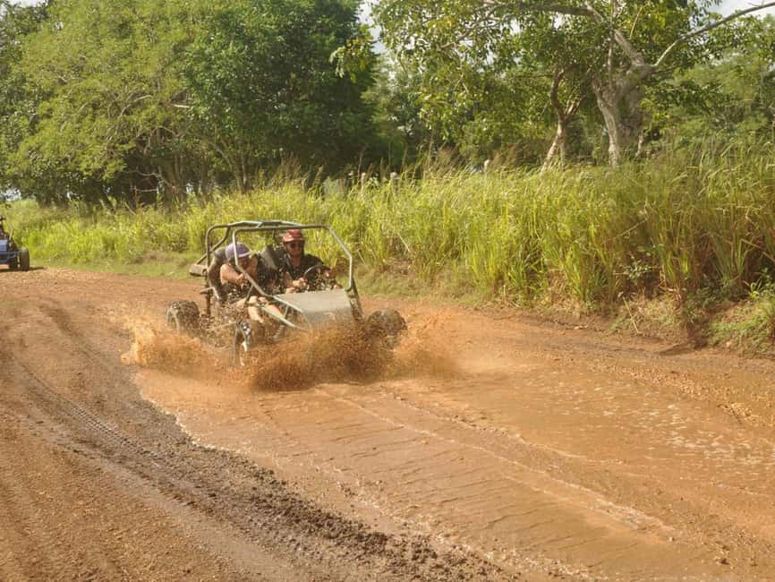 Caribbean Buggy Escape – Bayahibe Jungle & Safari - Bayahibe off-road adventure: jungle trails, conucos, and lots of sugar cane talk
