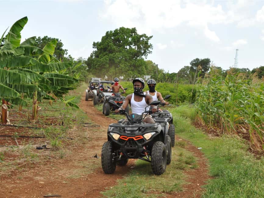Caribbean Buggy Escape – Bayahibe Jungle & Safari - Chavón River swim: the cool-down (and why this river is famous)