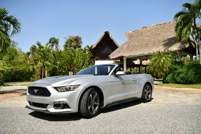 Cars for Rent in Punta Cana - Mustang Time in Punta Cana: What the Full-Day Rental Really Feels Like