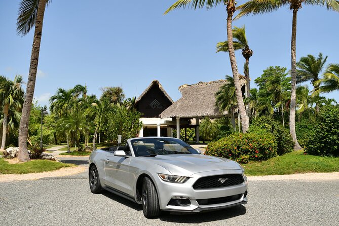 Cars for Rent in Punta Cana - Who This Ford Mustang Convertible Day Trip Is Best For