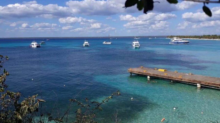 Catalina Island: Day Trip - Best Snorkeling! - Stop 2: The Aquarium snorkeling site (clear water, shallow reefs, turtles)