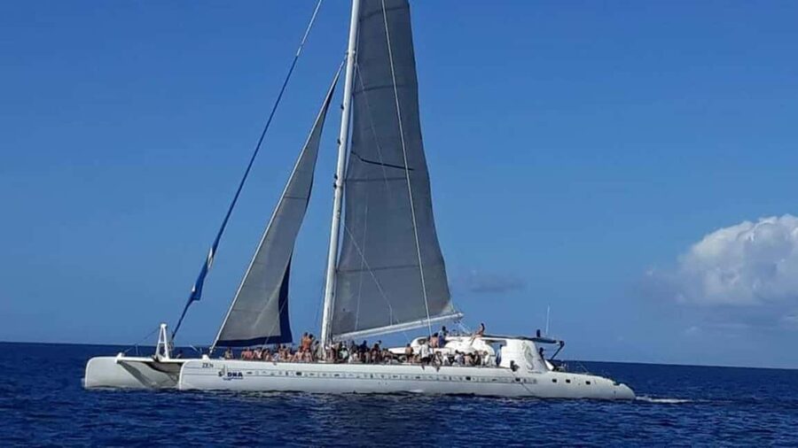Catalina Island: Day Trip - Best Snorkeling! - Who this trip is best for (and who should skip it)