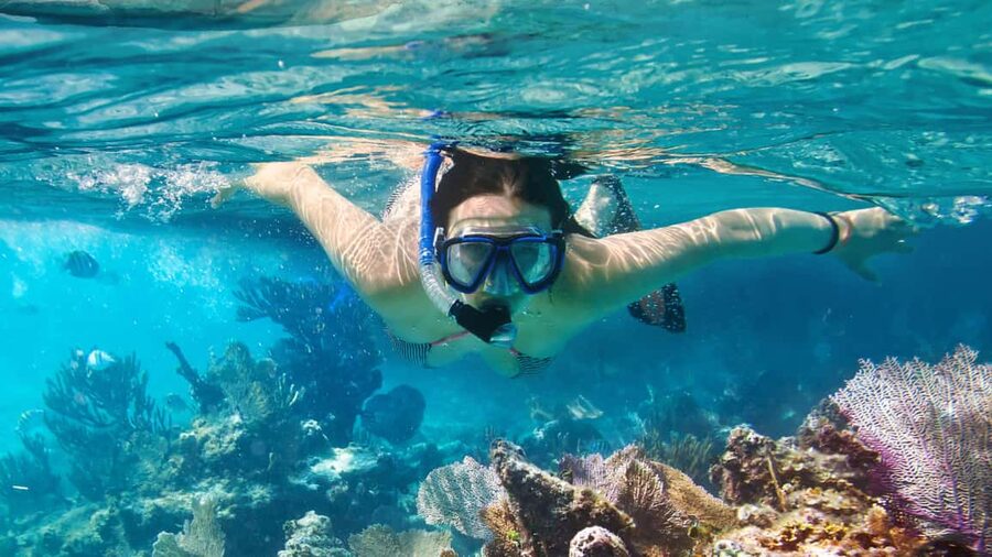 Catalina Island, even more pristine than Saona - Key things to know before you go