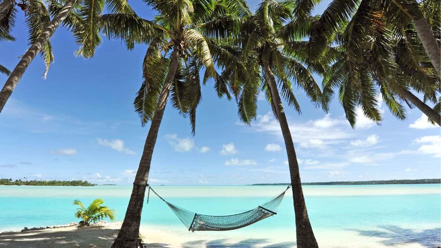 Catalina Island, even more pristine than Saona - From Bávaro to the water: what this 1-day setup really feels like