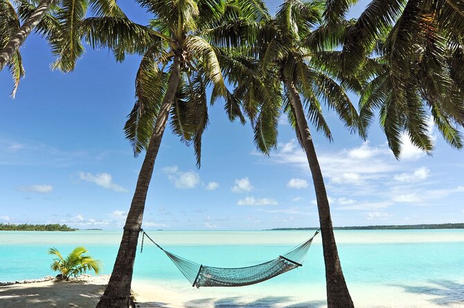 Catalina Island even more unspoilt than Saona Island - Price and logistics: what you’re really paying for