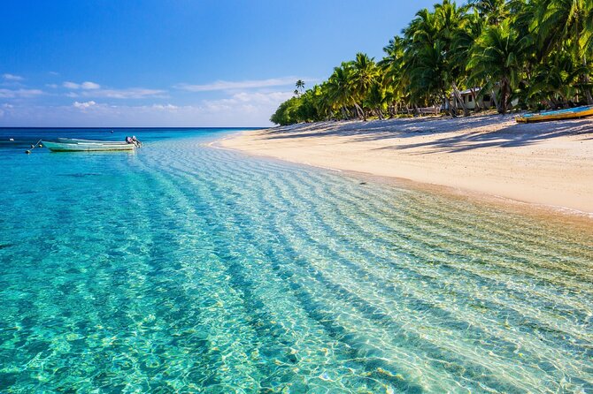 Catalina Island even more unspoilt than Saona Island - Who this tour fits best (and who might want to rethink)