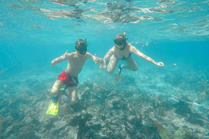 Catalina Island - Full Day All Inclusive Experience - Launch to Catalina: Catamaran Time and What to Watch For