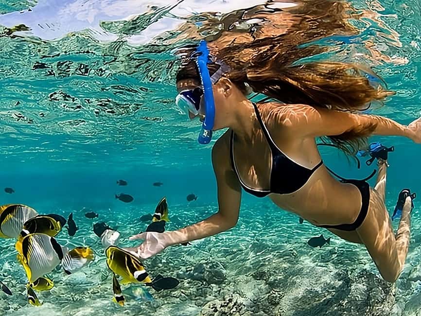 Catalina Island Full-Day Snorkeling + Lunch from Punta Cana - Who Should Book This Catalina Island Snorkeling Day