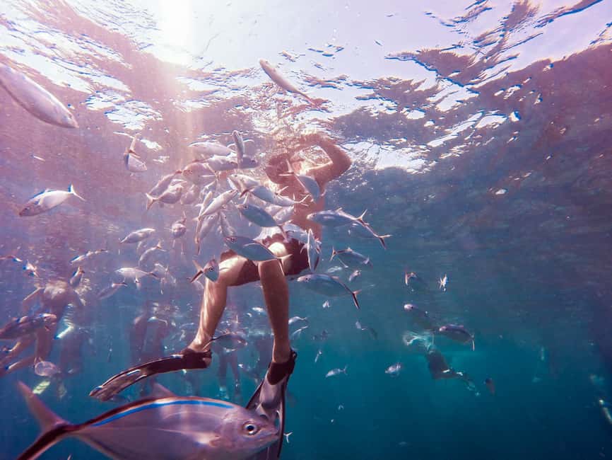 Catalina Island Full-Day Snorkeling + Lunch from Punta Cana - Is This Tour Good Value at $98?