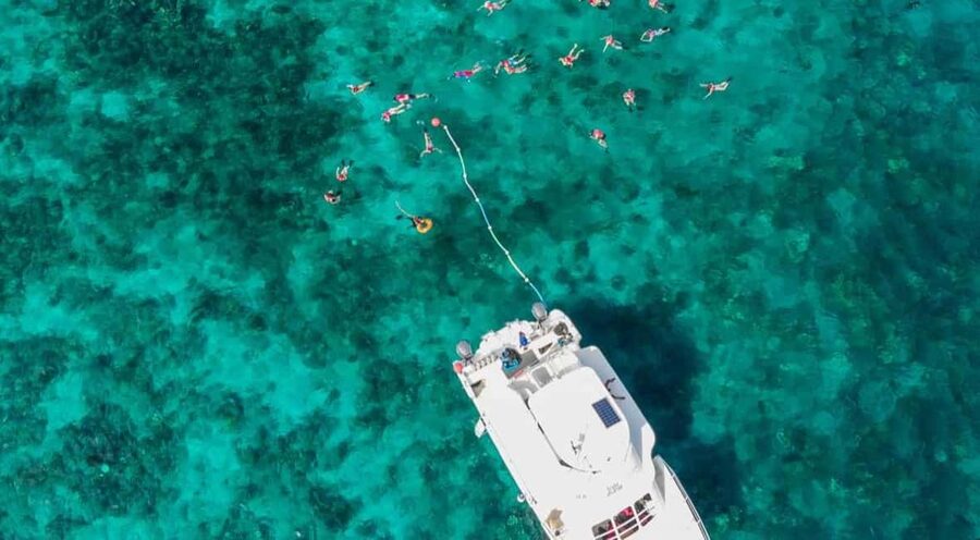 Catalina Island Full-Day Snorkeling + Lunch from Punta Cana - Snorkeling at Los Corales: The Reef Experience and Time Reality