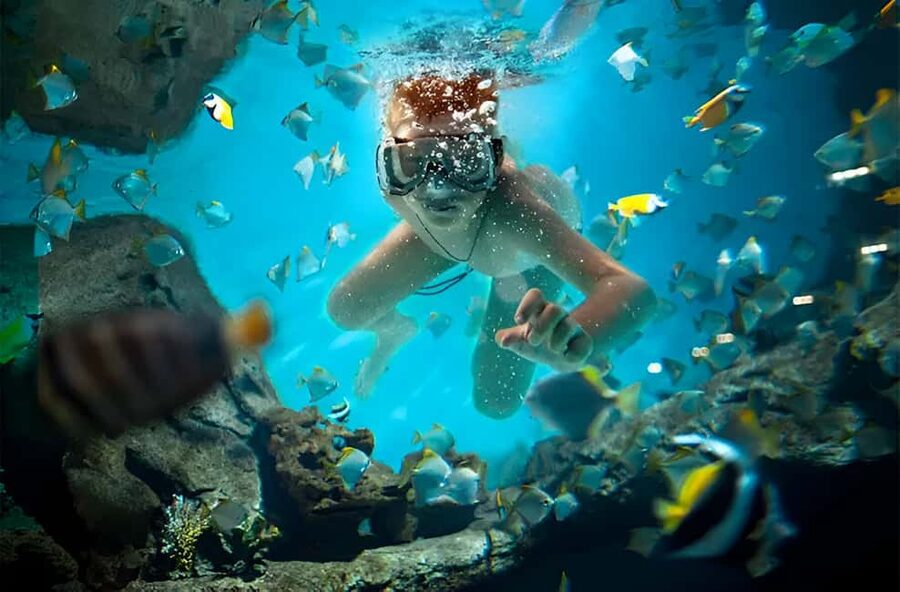 Catalina Island Full-Day Snorkeling + Lunch from Punta Cana - The Morning Plan From Punta Cana: What the 10.5 Hours Looks Like