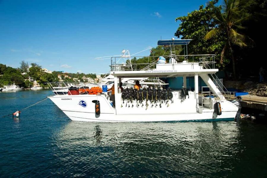Catalina Island Scuba Diving Tour from Punta Cana - Catamaran Ride to Catalina: The Part Most People Forget to Plan For