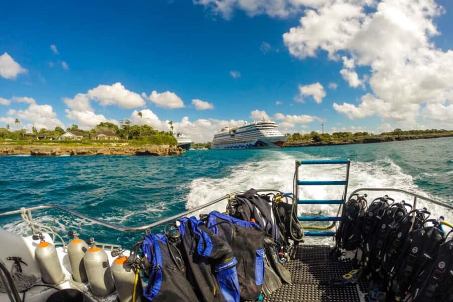 Catalina Island Scuba Diving Tour from Punta Cana - The Wall and The Aquarium: What You’re Actually Looking For Underwater