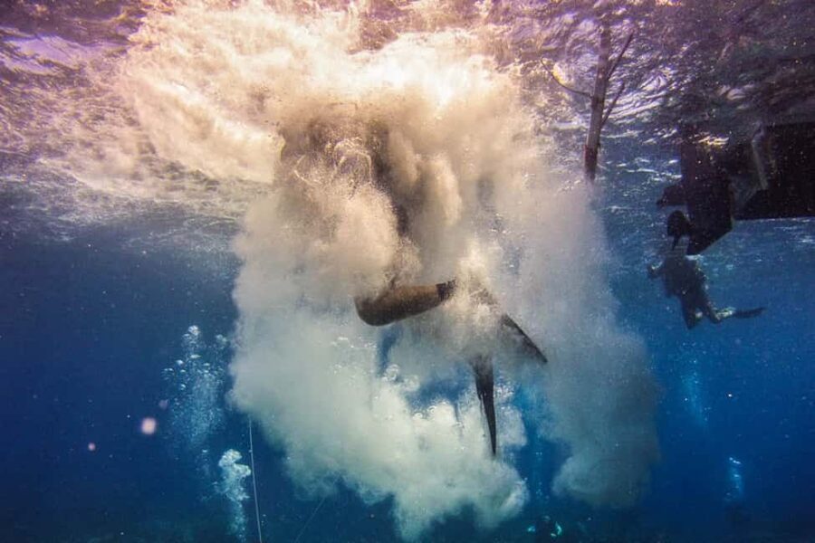 Catalina Island Scuba Diving Tour from Punta Cana - Private Beach BBQ and Open Bar: The Land Part You’ll Remember