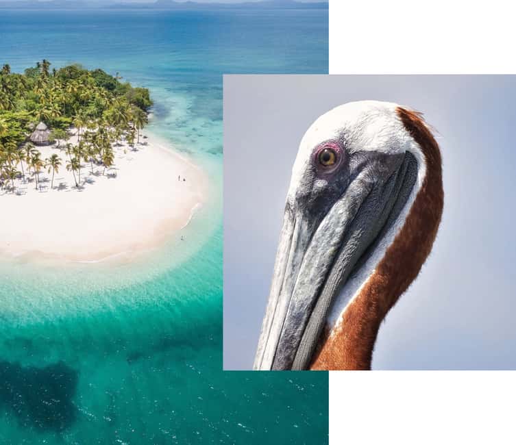 Catalina Island snorkeling Dominican Republic - Key Highlights at a Glance