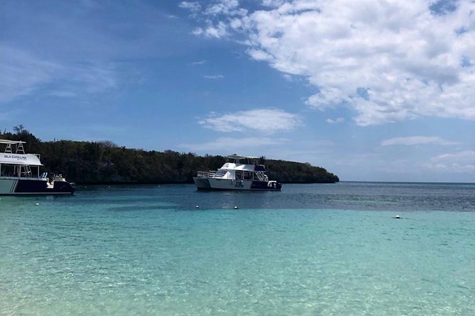 Catalina Island Snorkeling: Explore its Crystal Clear Waters - Guide support and the human touch (including Manuel)