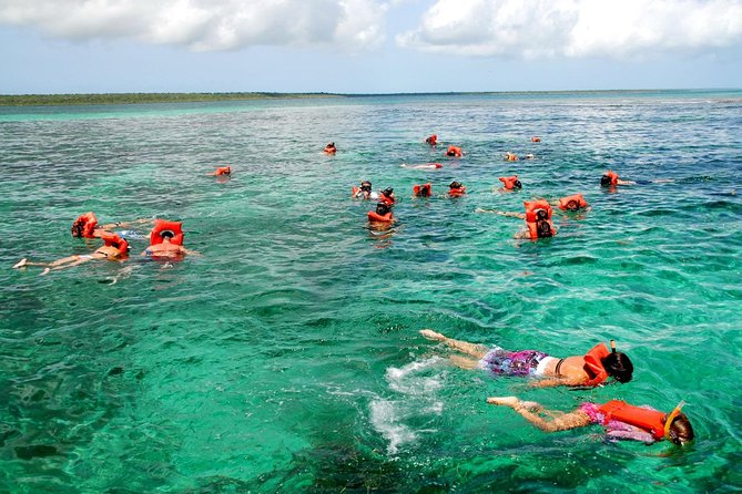 Catalina Island & Snorkeling Tour - The early morning bus run to La Romana (and how to plan around it)