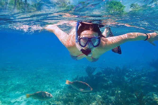Catalina Island & Snorkeling Tour - Small group promises vs real-world boat crowding