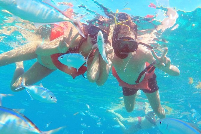 Catalina Island & Snorkeling Tour - Price check: is $90 good value for this Catalina day?