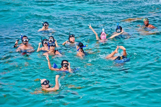 Catalina Island & Snorkling Tour Full Day All Inclusive - Catalina Island snorkel day: what you’re really signing up for