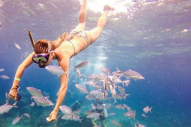 Catalina Island & Snorkling Tour Full Day All Inclusive - The PADI briefing and equipment fitting: beginner-friendly, with limits