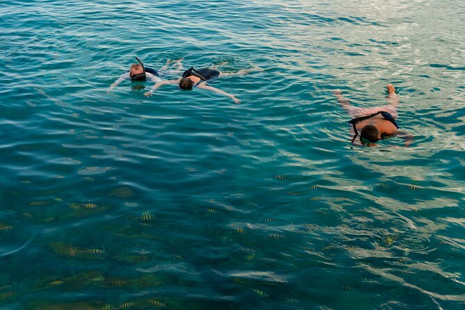 Catalina Sailing Experience in Punta Cana with Food and Drinks - Isla Saona Beach Time: White Sand, Warm Water, and a Full Lunch Set-Up