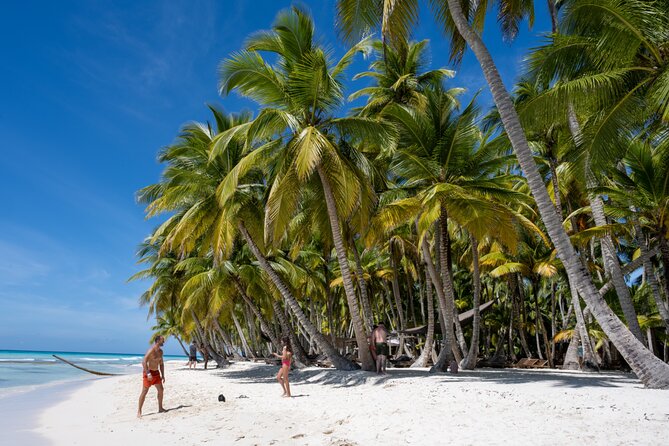 Catalina Sailing Experience in Punta Cana with Food and Drinks - Food and Drinks: Snacks, Buffet, and an Open Bar That Actually Helps