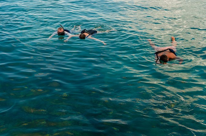 Catalina Sailing Experience in Punta Cana with Food and Drinks - The Price Question: Is $89 Good Value for This Day?