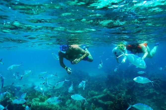 Catamaran Booze Cruise And Snorkeling Punta Cana - Adults Only - Key Highlights at a Glance