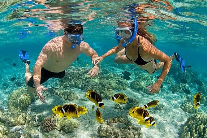 Catamaran Party in Punta Cana Includes Drink and Transportation - Party Boat Energy, With Two Real Water Stops