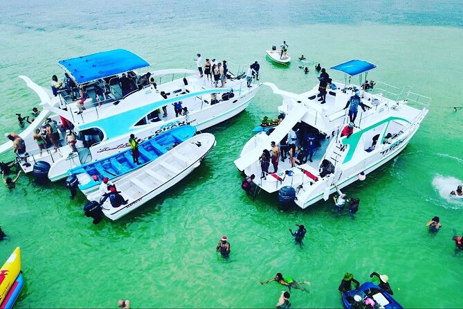 Catamaran party in Punta Cana with open bar, music and more - Stop Two at Arrecife de Coral: Snorkeling With Included Admission