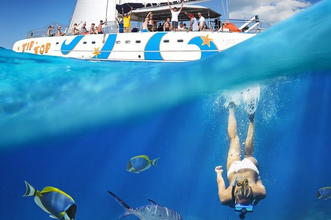 Catamaran Snorkeling All-Inclusive Day-Trip - Stop 2: Sosua Beach snorkeling and guided sailing (about 5 hours)