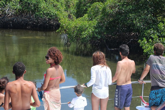 Cayo Arena Catamaran Cruise from Puerto Plata with Lunch - Snorkeling on the coral reef: what you’re really paying for