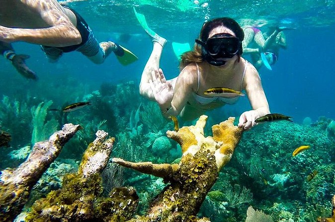 Cayo Arena Day Trip from Puerto Plata - The guide, lunch, and drinks: why the middle of the day feels easy