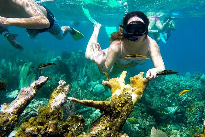 Cayo Arena Day Trip from Puerto Plata - The return trip: why the day ends before you’re tired
