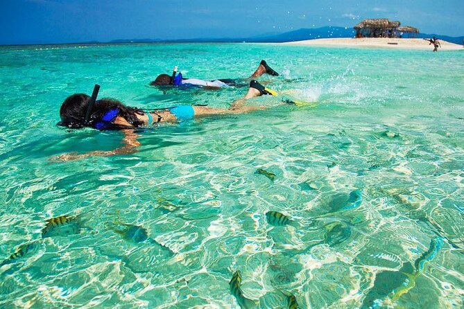 Cayo Arena Exclusive Tour with Lunch - Price and value check: is $160 worth it?