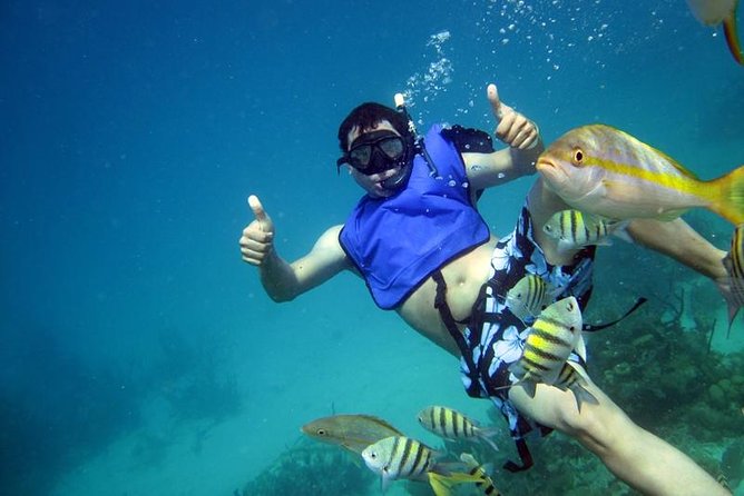 Cayo Arena Exclusive Tour with Lunch - Cayo Arena and Paradise Island snorkeling: the clear-water payoff