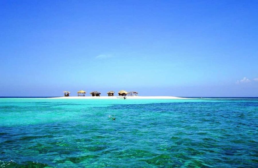 Cayo Arena: Paradise Island and Mangroves Tour - Cayo Arena Beach Time: Coral Gardens, Swimming, and Snorkeling Comfort
