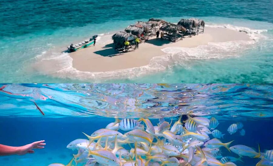 Cayo Arena: Paradise Island and Mangroves Tour - Monte Cristi National Park by Speedboat: Mangroves, Lagoons, and Wildlife Watching