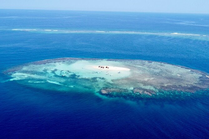 Cayo Arena, Paradise Island Tour - The 7:00 AM Pickup Run: Comfortable Bus, Long Day