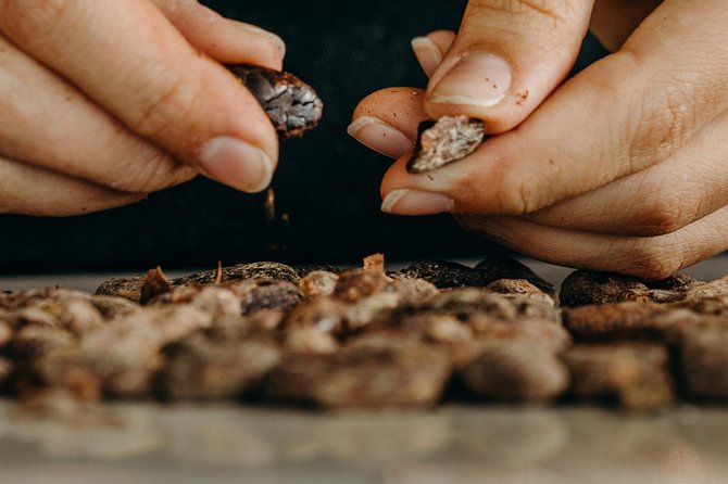 Chocolate Master Class & Taino concept Store - Chocolate Master Class in La Altagracia: What makes it feel different