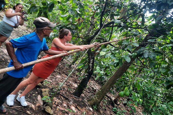 Cocoa & Artisan Chocolate Route with an Historical Tour in Puerto Plata City - Key Highlights You’ll Actually Care About