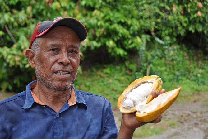 Cocoa & Artisan Chocolate Route with an Historical Tour in Puerto Plata City - A Cocoa Farm Day Outside Puerto Plata: What the 6 Hours Feel Like