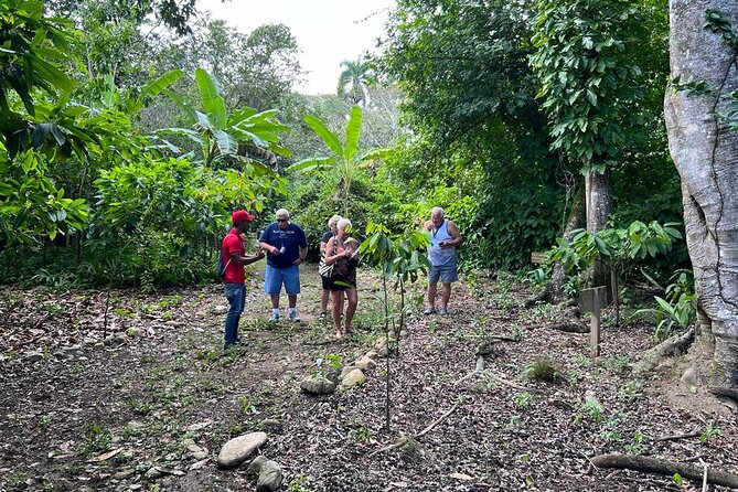 Cocoa & Artisan Chocolate Route with an Historical Tour in Puerto Plata City - Price and Value for $98: What You’re Paying For